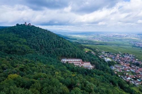 埃圭斯海姆Hotel SPA Husseren Collections - Proche Colmar - Eguisheim的享有绿色山丘和城镇的空中景色