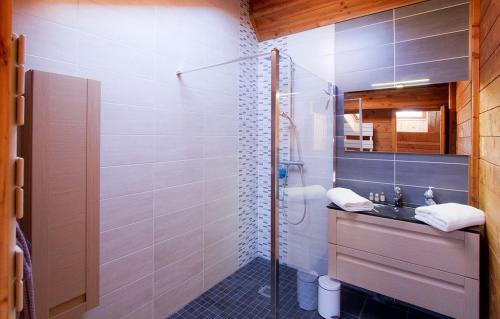 莱德萨阿尔卑斯Odalys Chalet Le Panorama的带淋浴、水槽和镜子的浴室