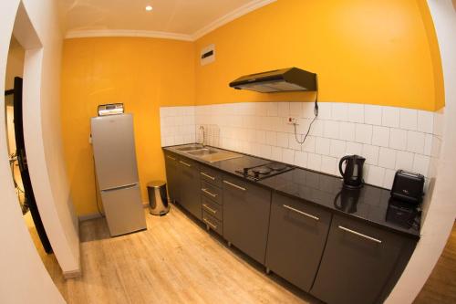 卢萨卡cairo apartment的厨房配有冰箱和台面