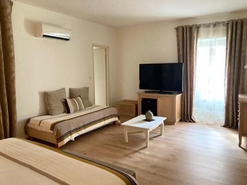 博尼法乔卡拉维尔酒店的一间带床和电视的客厅