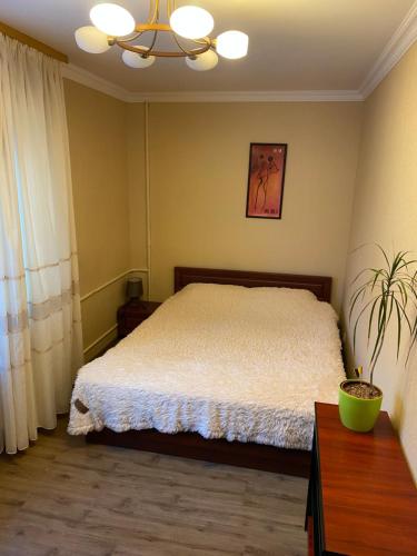 切尔尼戈夫Апартаменти的一间卧室配有一张床和一个吊灯