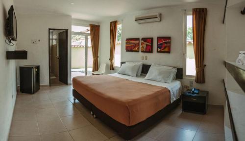 比亚维森西奥Hotel Paloverde Villas Campestres的一间卧室,卧室内配有一张大床