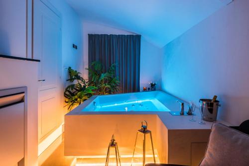 博洛尼亚Design Club Collection的一间带浴缸的浴室,里面装有植物