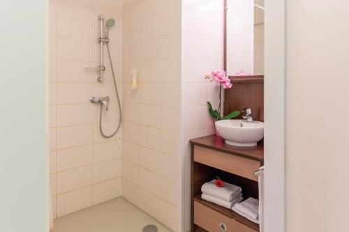 圣纳泽尔Appart'City Confort Saint-Nazaire Océan的一间带水槽和淋浴的浴室