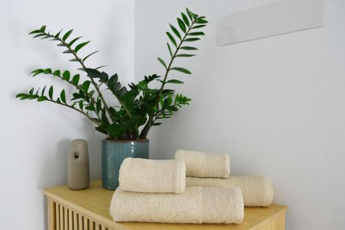 拉桑塔Habitación con baño y entrada independiente的木架上的毛巾堆,有植物