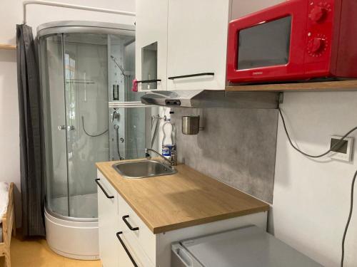 RačiceKuK Račice - mini apartman的一个带水槽和红色微波炉的小厨房