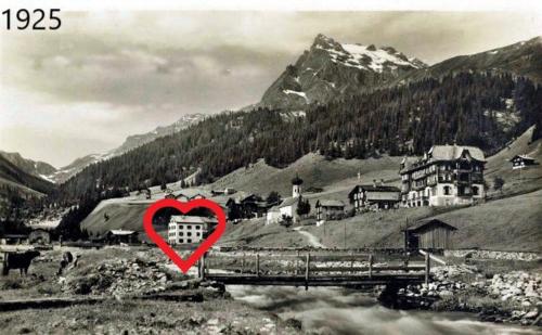 加尔盖伦Pension Edelweiss的红心在山的画上