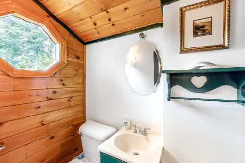Owls HeadLupine Cottage的一间带卫生间和水槽的浴室