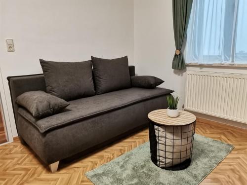 滨湖新锡德尔Appartment Weinbau Müllner的客厅配有一张灰色沙发,设有一张桌子