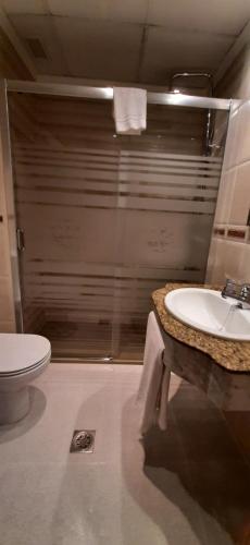 穆尔西亚Hotel Azahar的一间带水槽和卫生间的浴室