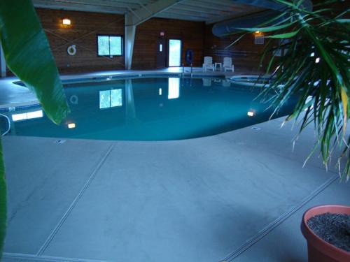派托普湖畔Roundhouse Resort, a VRI resort的棕榈树房子中的游泳池