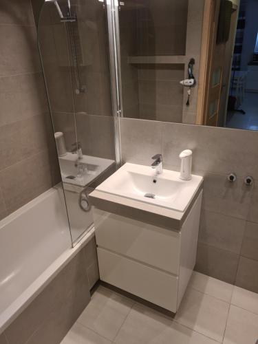 克拉科夫Wielicka Apartment 2的一间带水槽、淋浴和镜子的浴室