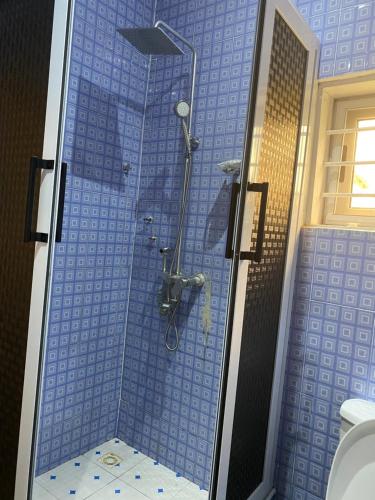 FeteTills Beach Resort的浴室设有蓝色瓷砖淋浴和卫生间