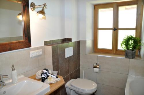 谢兴施普林格霍夫酒店的一间带卫生间、水槽和镜子的浴室