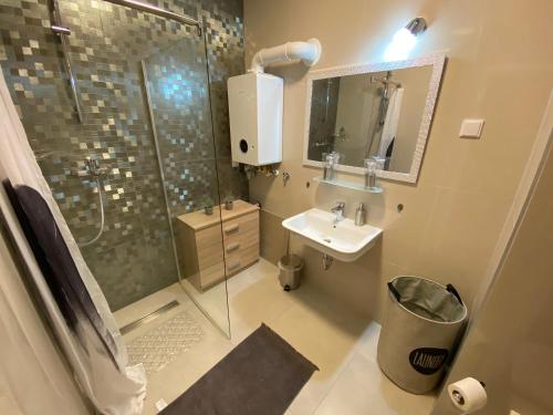 奥西耶克Apartman Pepper的带淋浴和盥洗盆的浴室