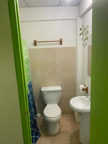 普拉亚布兰卡阿克雷拉旅馆的一间带卫生间和水槽的浴室