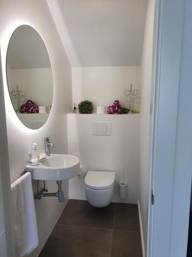 阿尔考斯布里Preciosa casa en Alcossebre的一间带卫生间、水槽和镜子的浴室
