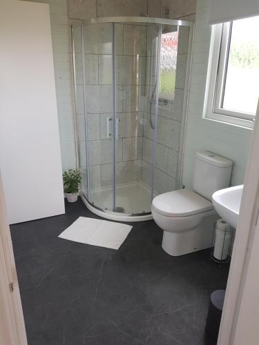 卡尔达夫Crag Na Cor Log Cabin的带淋浴、卫生间和盥洗盆的浴室