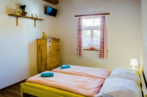 PřítlukyCHALUPA NA MLÝNĚ的一间卧室配有一张床、一个梳妆台和一扇窗户。