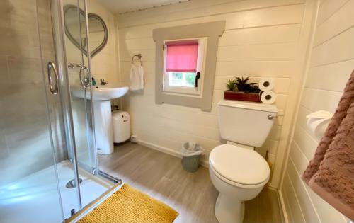 新罗斯Beaufort House Accomodation的浴室配有卫生间、盥洗盆和淋浴。