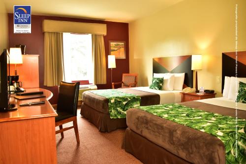 拉斯维加斯大道达马斯司丽普酒店客房内的一张或多张床位