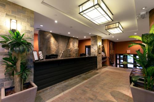 惠斯勒Blackcomb Lodge的种植了盆栽植物的酒店大厅