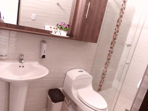 比利亚维哈Solaris Hotel的一间带卫生间和水槽的小浴室