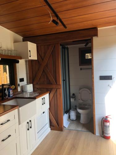 费特希耶Tiny house kayaköy Nar的厨房设有带卫生间的浴室