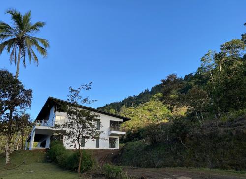 迦太基Arte de Plumas birding lodge的棕榈树山丘上的白色房子
