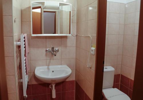 伊赫拉瓦威拉旅馆的一间带水槽、卫生间和镜子的浴室