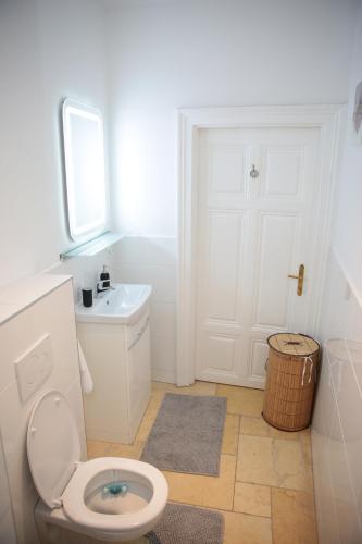维也纳Heart of Vienna - City Apartment的白色的浴室设有卫生间和水槽。