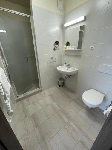 杰尔Gyirmót Sport & Wellness Hotel的浴室配有卫生间、盥洗盆和淋浴。