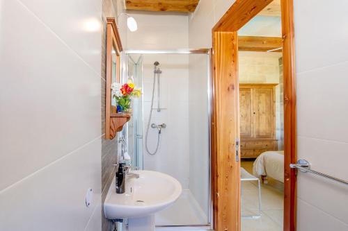 萨奈特Ta' Peppi的一间带水槽、淋浴和卫生间的浴室