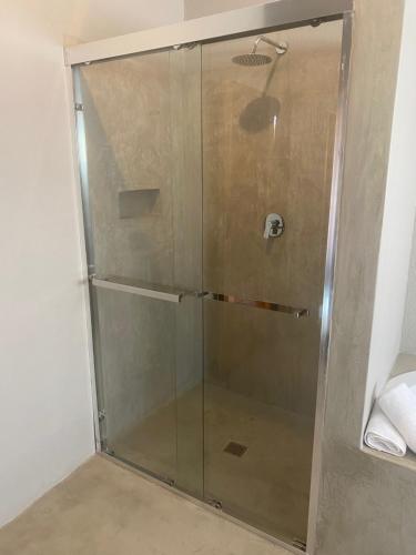 莱迪史密斯Farquhar Lodge的浴室里设有玻璃门淋浴