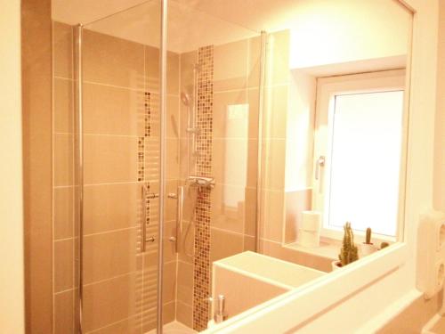 艾森贝格Ferienwohnung "Alte Druckerei"的带淋浴的浴室和玻璃门