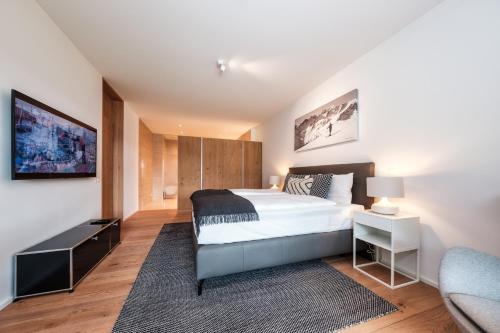 达沃斯Alpen panorama luxury apartment with exclusive access to 5 star hotel facilities的相册照片