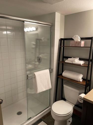 潘诺拉马Panorama Springs的带淋浴、卫生间和毛巾的浴室
