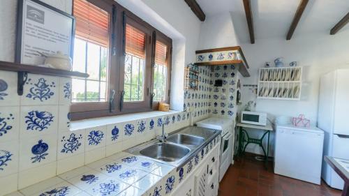 隆达Casa El Rosario Ronda by Ruralidays的蓝色和白色的厨房,配有水槽和窗户