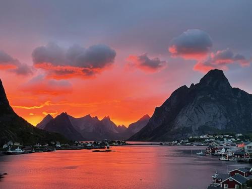 Andøy Vest Rorbuer Reine