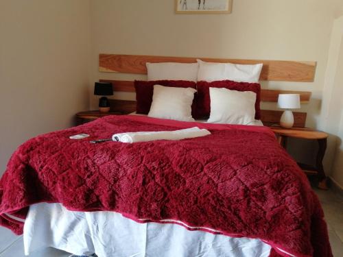 DivunduDiyuyi Restaurant and Guest rooms Accommodation的一间卧室配有一张红色棉被的床