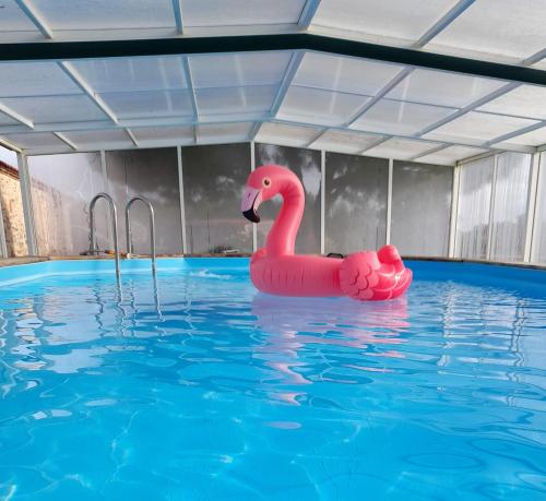 ThorignyLe gîte Le Marillet的游泳池里的粉红色充气火烈鸟