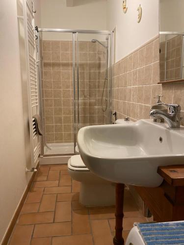 马里纳迪马萨Ancora bilocale的一间带水槽、卫生间和淋浴的浴室