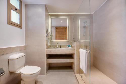 艾因苏赫纳小威尼斯高尔夫杰斯酒店&度假村的一间带卫生间和水槽的浴室