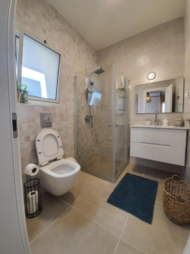 Beʼer Oraחדר במדבר的浴室配有卫生间、淋浴和盥洗盆。