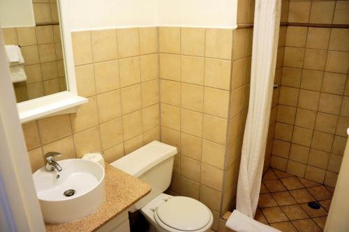 菲利普斯堡欧勒斯佩兰斯酒店的一间带卫生间和水槽的小浴室