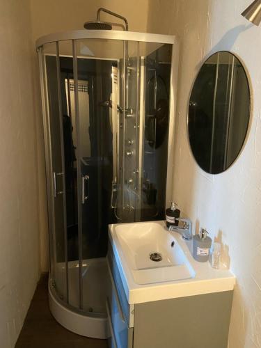 Saint-Rémy-sur-DurolleAppart au 1 etage的带淋浴、盥洗盆和镜子的浴室