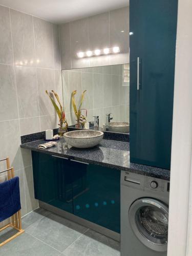 莱特鲁瓦西莱BLUE DREAM SPA的一间带水槽和洗衣机的浴室