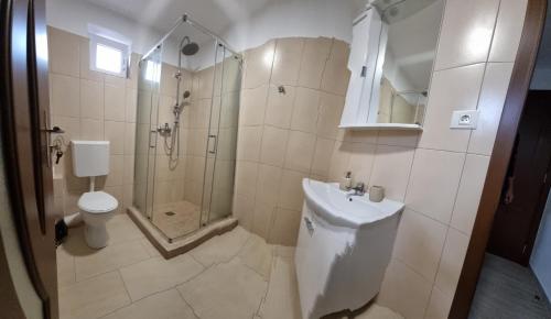 Topolovăţu MareCusali Pensiune的带淋浴、卫生间和盥洗盆的浴室