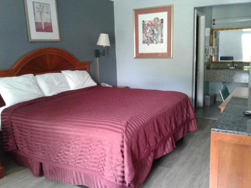 安德森Budget Inn Anderson的一间卧室配有一张大床和粉红色的床罩