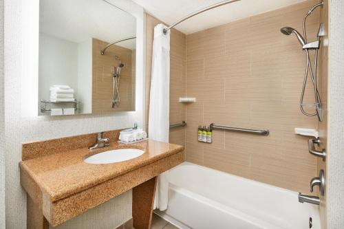杰克逊维尔杰克逊维尔东南快捷假日酒店及套房 - 医学中心区的浴室配有盥洗盆和浴缸。